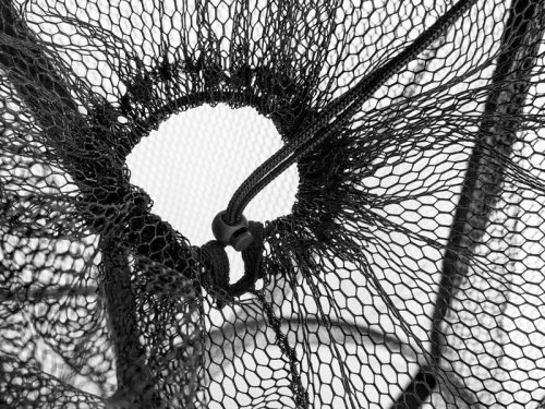 Delphin - Baitpool Lebegő Csalihaltartó Háló 55/90cm