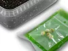 Delphin - Reaxe Pellet Box Ready&Go Fokhagyma-Vajsav 400g