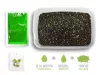 Delphin - Reaxe Pellet Box Ready&Go Fokhagyma-Vajsav 400g