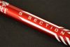 Carp Expert - Scobar Pole 5m - Spiccbot