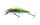 Daiwa - Tournament Wise Minnow 50FS Chart Back Zebra 5.2g