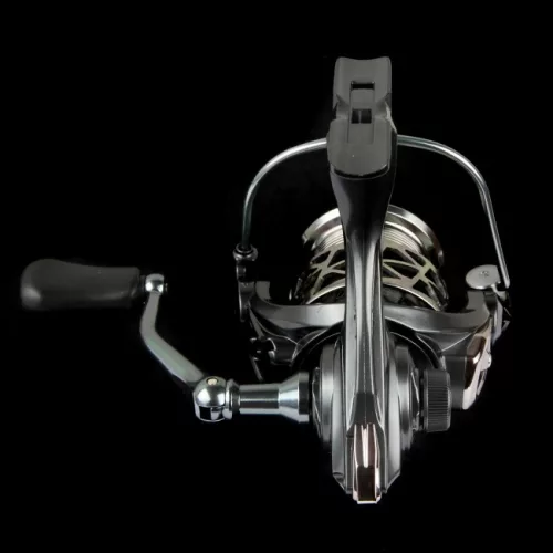 Nevis - Motive Spin 40
