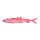 MADCAT - Pelagic Cat Lure 21cm 75G Sinking Fluo Pink UV (-30)