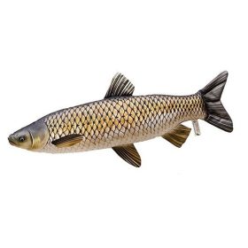 Energo Team - Halas Párna - Amúr Nagy