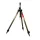 Carp - Expert Method Tripod