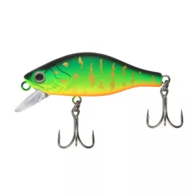 Reiva - Fat Minnow 50 - Golden Tiger