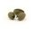 Fox - Pop-Up Weights Bb