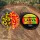 Feedermania - Larva Air Wafter Two Tone S Banana