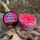 Feedermania - Ronnie Rig Pop-Up Pink BCN+ 14mm